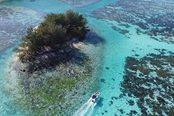 Snorkeling excursion, discovery of the lagoon, small group. - The sandbank moment: where the lagoon turns from scenery into an event