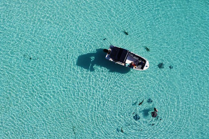 Snorkeling excursion, discovery of the lagoon, small group. - Reef snorkeling: coral beauty you can actually appreciate