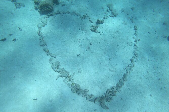 Snorkeling picnic in 4h30 with lunch in Tahiti - Price and value: is $218.64 worth it for 4h30?