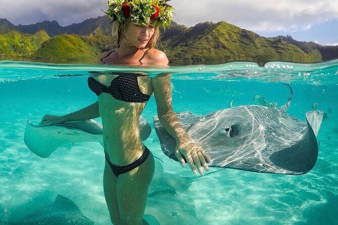 Snorkeling Safari Moorea (Half Day Tour) - Quick hits before you book