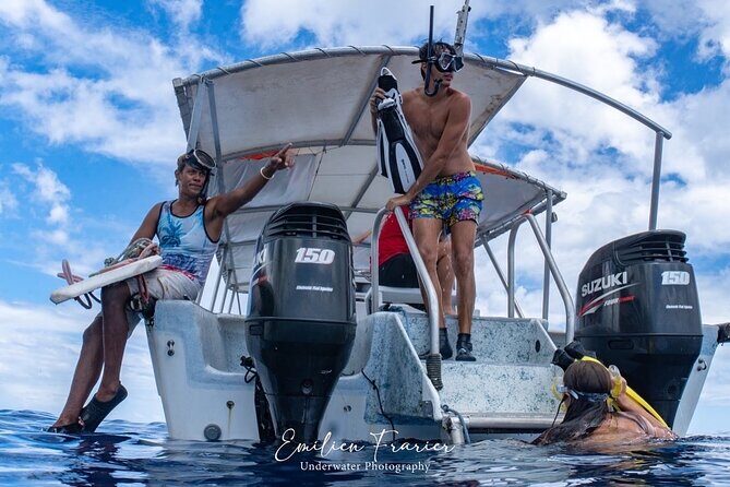 Snorkeling Safari Moorea (Half Day Tour) - Snorkeling equipment: why included gear matters here