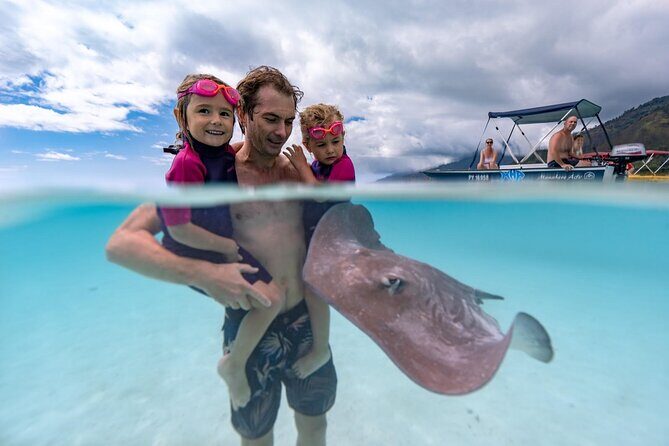 Snorkeling Safari Moorea (Half Day Tour) - Wildlife encounters you can reasonably expect