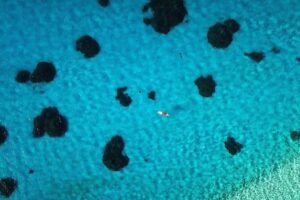 Stroll out of time on the lagoon of Bora Bora - The SUP Setup and the Shallow-Water Practice That Saves Time