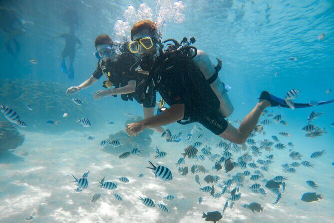 Stroll out of time on the lagoon of Bora Bora - The Group Dynamic: Why a Max of 5 Feels Like a Real Experience