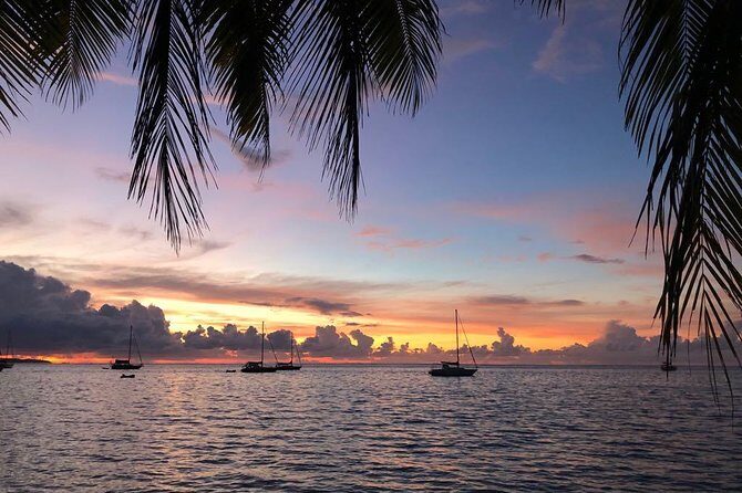 Sunset Cruise : Moorea Sailing on a Catamaran named Taboo - Inside the Experience: Taboo Comfort, Nets, and Photo-Friendly Viewing