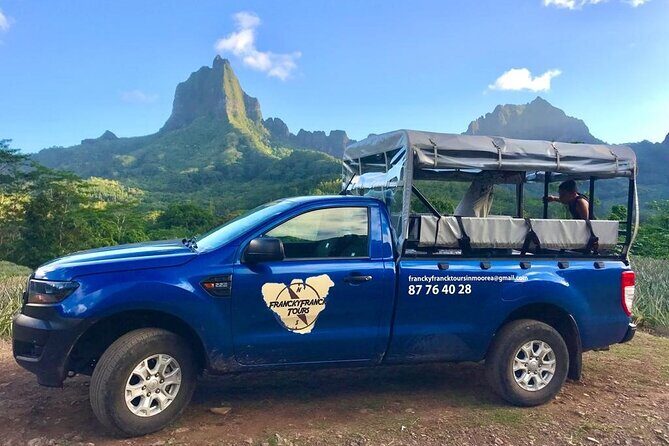 Swim with humpback whales - Value Check: Is $264.13 Fair for This Moorea Experience?
