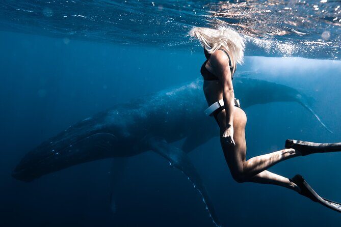 Swimming with Whales in Moorea (Half Day tour) - How the Guides Work: Clear Calls, Strong Safety, and Real Craft at Sea