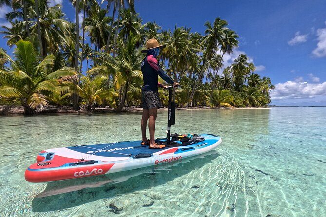 Tahaa Excursion in Electric Paddle Snorkeling Coral Garden - Key Highlights You’ll Actually Care About