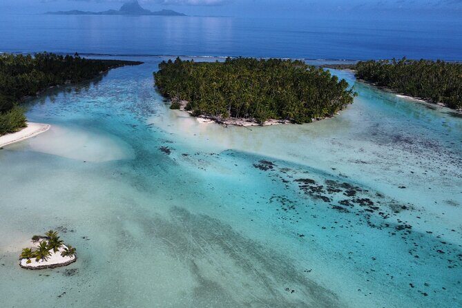 Tahaa Excursion in Electric Paddle Snorkeling Coral Garden - Electric Paddleboarding: Stable, Quiet, and Surprisingly Easy