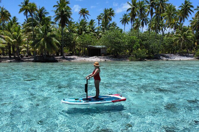 Tahaa Excursion in Electric Paddle Snorkeling Coral Garden - Snorkeling Setup: What’s Included and What to Bring