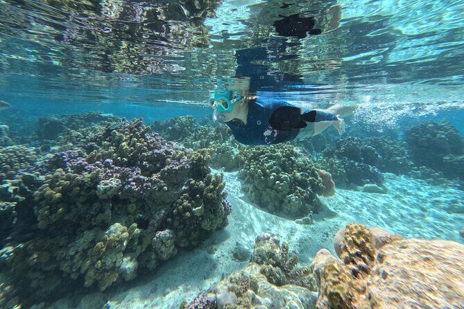 Tahaa Excursion in Electric Paddle Snorkeling Coral Garden - The Snack Break Near a Motu: A Small Pause With Big Payoff