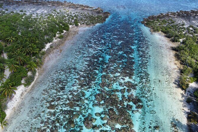 Tahaa Excursion in Electric Paddle Snorkeling Coral Garden - Your Guide Experience: Greg and Anaïs Set the Tone