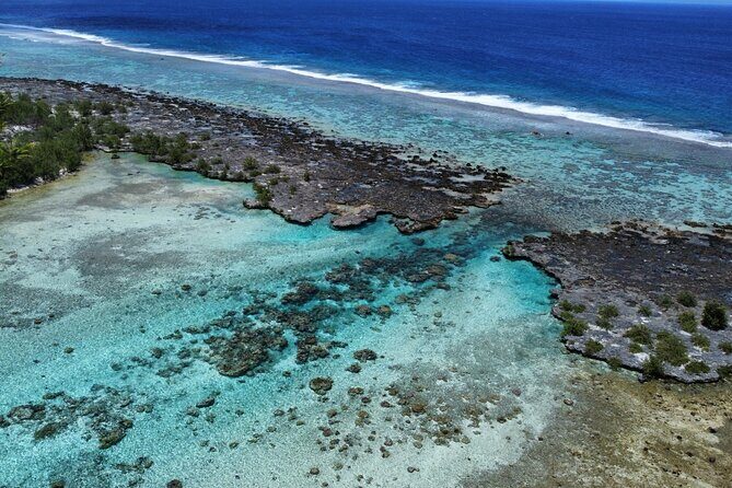 Tahaa Excursion in Electric Paddle Snorkeling Coral Garden - GoPro Memories: You’ll Stop Worrying About the Camera