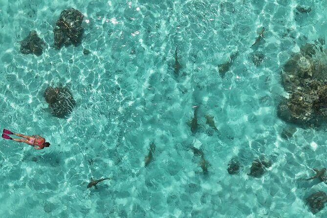 Taha'a Island or Raiatea Boat Tour - Jardin de Corail: Snorkeling That’s Done for Sight, Not Show