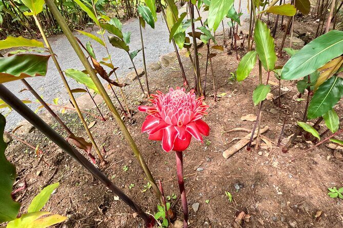Taha'a Island or Raiatea Boat Tour - Boutique Manao: Rum Tasting as a Cultural Stop