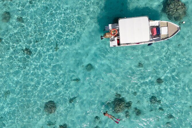 Taha'a Island or Raiatea Boat Tour - Vanilla Grove and Vanilla Prod’s Shop: Learning the Real Story