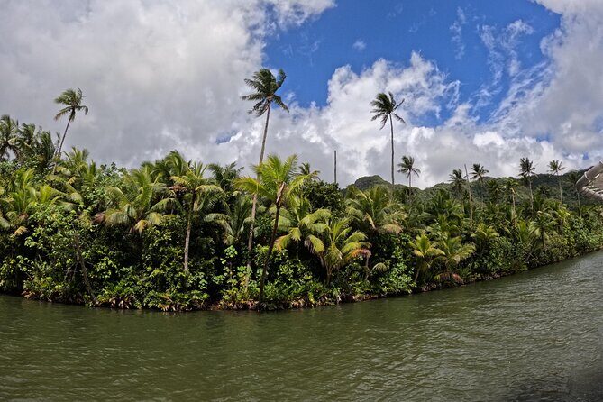 Taha'a Island or Raiatea Boat Tour - Iaorana Pearl Farm: Turning a Pretty Item Into a Process