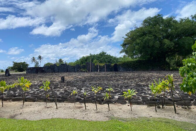 Taha'a Island or Raiatea Boat Tour - Lunch on a Private Motu: The Break Your Day Needs