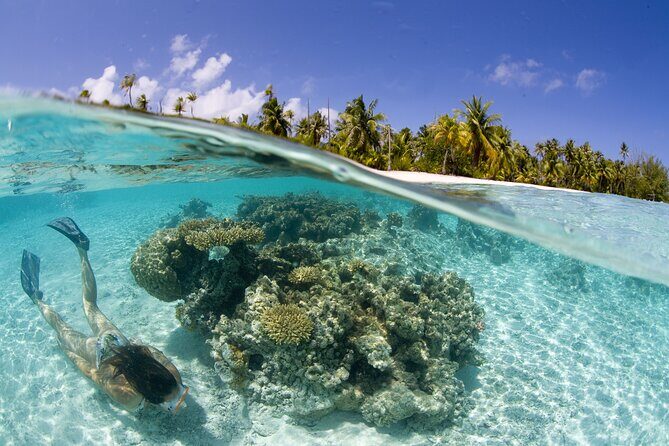 Tahaa Lagoon Tour -Departure Raiatea-Small groups (max 12 p) - The rum stop: a quick flavor education