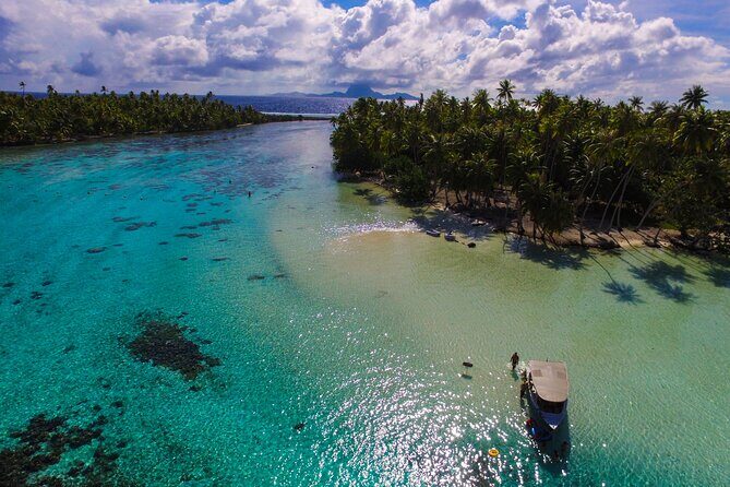 Tahaa Lagoon Tour -Departure Raiatea-Small groups (max 12 p) - Tau Tau Coral Garden snorkeling: the main event