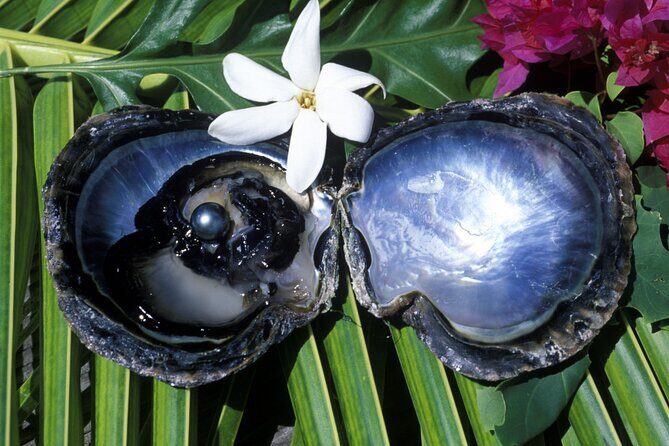 Tahaa Lagoon Tour -Departure Raiatea-Small groups (max 12 p) - Champon Pearl Farm: learning how Tahitian pearls are made