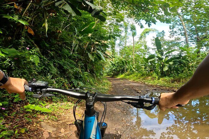 Tahiti excursion adventure circuit MTB MTB E-Bike private valley - The Dam Sequence: First Dam Pass, Then the Second Dam View