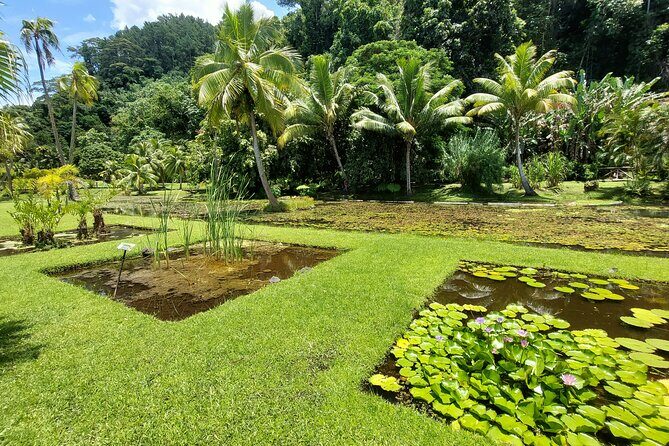 Tahiti Full Day Private Coastal Tour - The big idea: why this Tahiti day tour feels efficient
