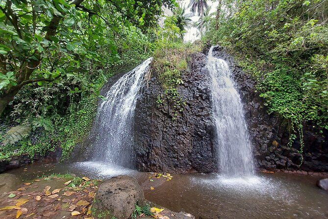 Tahiti Full Day Private Coastal Tour - What’s included (and what you’ll need to budget for)