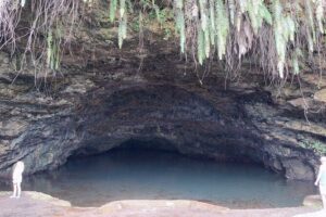 Tahiti Half Day Coastal Private Tour - The guide experience: where the tour actually comes alive