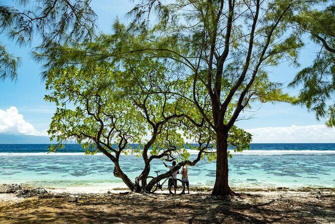 Tahiti Half Day Coastal Private Tour - Stop 4: The Water Gardens of Vaipahi (plants, waterfall, and shade)