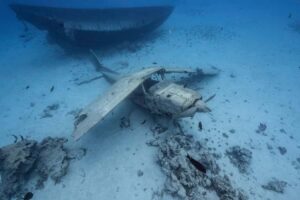 Tahiti island: 4 hours Snorkeling Tour - Dolphin watching that sets the tone