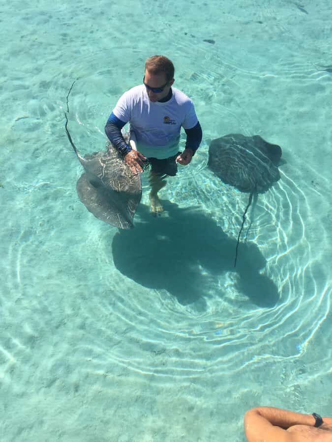 Tahiti island: 4 hours Snorkeling Tour - Aquarium Site: wrecks, coral art, and easy snorkeling time