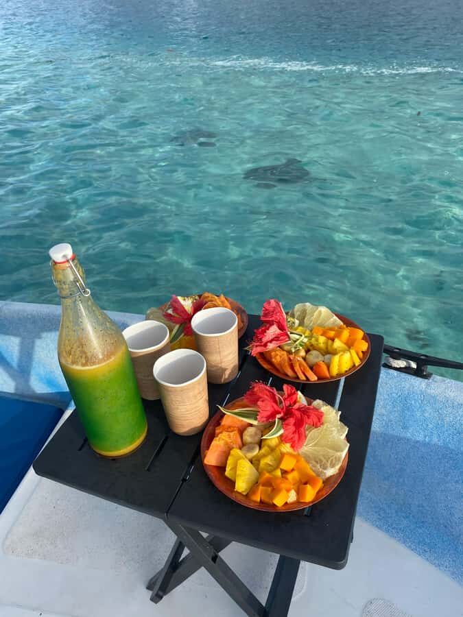 Tahiti island: 5 hours Snorkeling Picnic - Why This 5-Hour Snorkeling Picnic Works for First-Timers