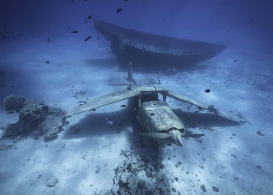 Tahiti island: 5 hours Snorkeling Picnic - Who This Tour Suits Best