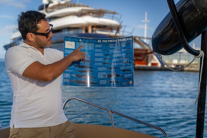 Tahiti Lagoon Snorkeling and Lunch Boat Tour (6 pax max) - 8:00 AM Start: Pickup, Meeting Point, and How to Plan Your Morning