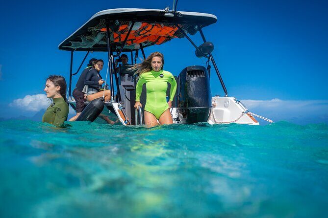 Tahiti Lagoon Snorkeling and Lunch Boat Tour (6 pax max) - What You’ll See: Dolphins, Sea Turtles, Rays, and Reef Life