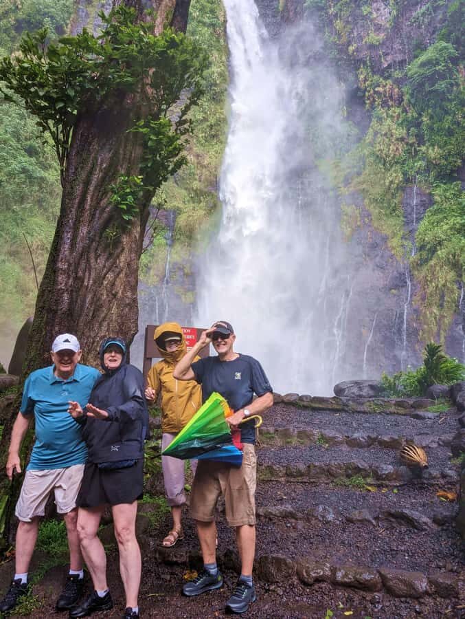 Tahiti: Northeast Coast Waterfalls&Viewpoints Half Day Tour - Key highlights worth planning for