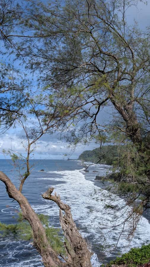 Tahiti: Northeast Coast Waterfalls&Viewpoints Half Day Tour - Stop 6: Tahara’a Lookout Over Matavai Bay and Papeete
