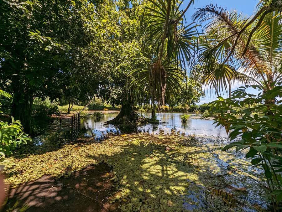 Tahiti Private Half Day Tour. Nature, history and culture - A five-hour Tahiti sampler with real comfort and control