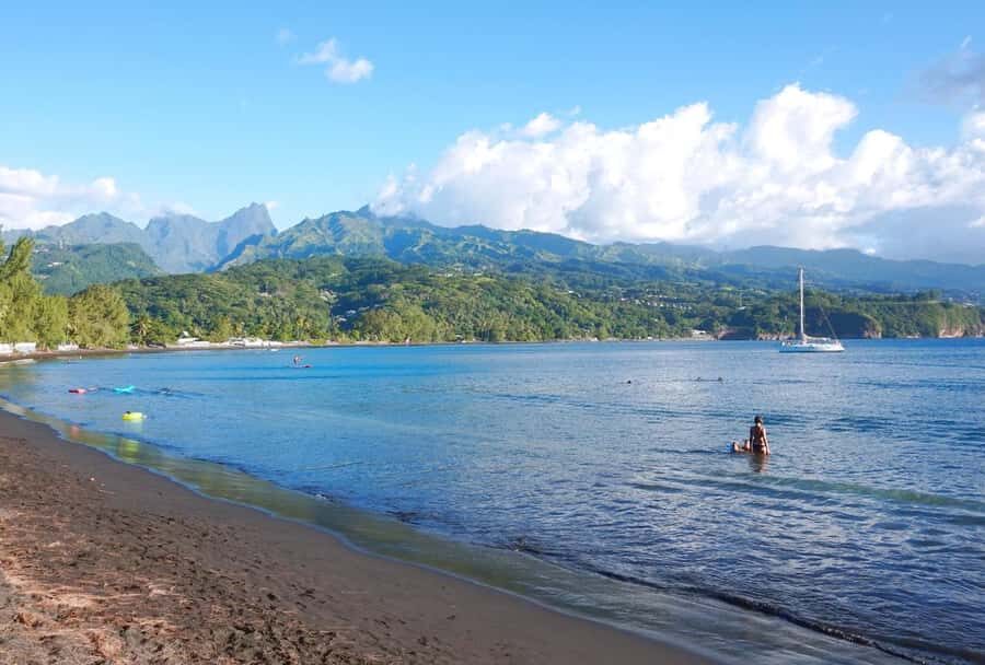 Tahiti Private Half Day Tour. Nature, history and culture - Vaipahi Water Gardens: a calm walk with plant stories