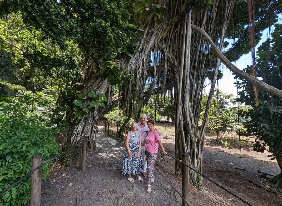 Tahiti Private Half Day Tour. Nature, history and culture - Price and value: what $565 per group really buys you