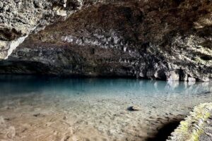 Tahiti: Tour of the East or West Coast (Half Day) - East Coast Stops: Point Venus, Blowhole, Waterfalls, and Harbor Views
