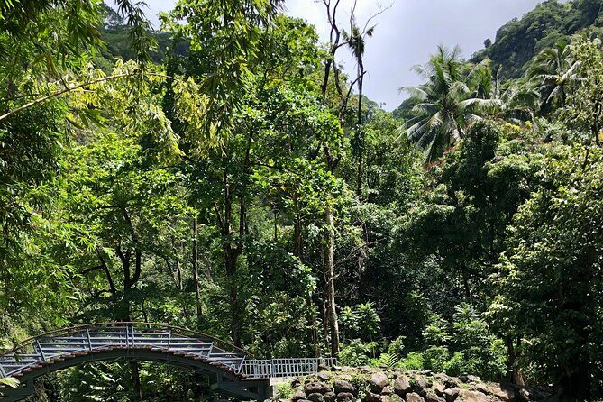 Tahiti: Tour of the East or West Coast (Half Day) - West Coast Stops: Tahiti Museum, Maraa Grotto Caves, Beaches, and Vaipahi Water Gardens