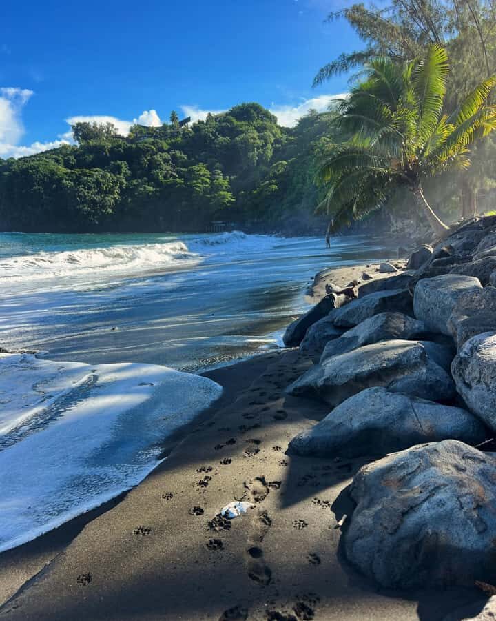 Tahiti: Unique East Coast Half Day Tour with Local Guide - A Tight 4.5-Hour Route That Feels Like Real Tahiti