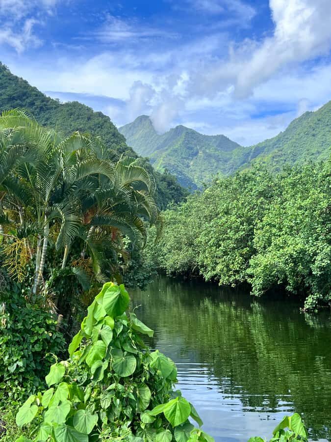 Tahiti: Unique Full Day West Coast, Combo Tour to Teahupoo - Vaipahi Water Gardens: An Easy Walk That Pays Off Fast