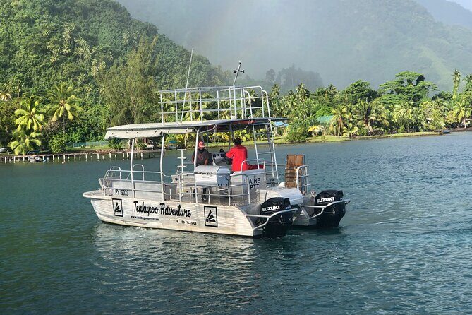 Taxi Boat to Watch the Teahupoo International Surfing Competition - Who this tour is best for (and who should pass)