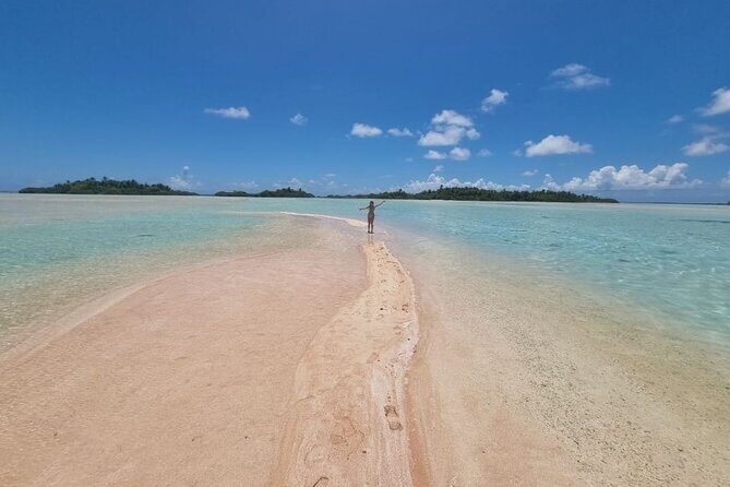 The Blue Lagoon by private boat - Pickup at 8:00 and the first action: dolphins at Tiputa pass