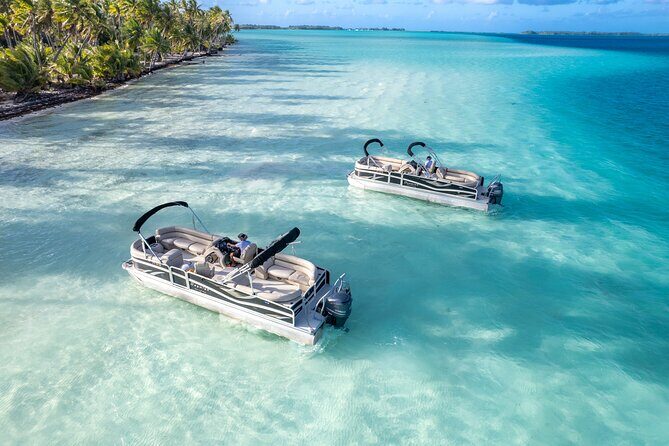 Toa Boat Bora Bora Private Lagoon tour On Majestic Pontoon Boat - Guides: Timmi, Maui, and François Make the Experience Feel Personal