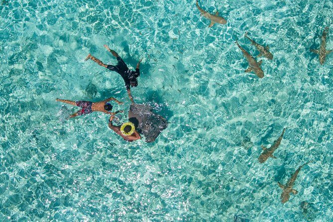 Toa Boat Bora Bora Private Lagoon tour with Lunch On Majestic Pontoon Boat - Weather, comfort, and what to expect when conditions shift