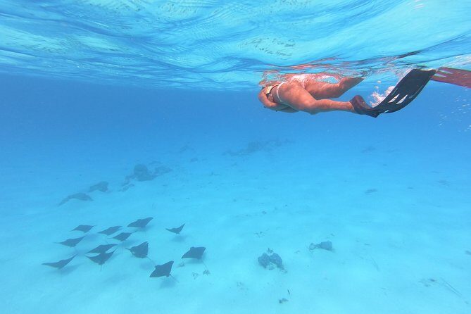 Tohora Bora Bora Snorkeling Lagoon Tours - Stop details: how the day usually unfolds